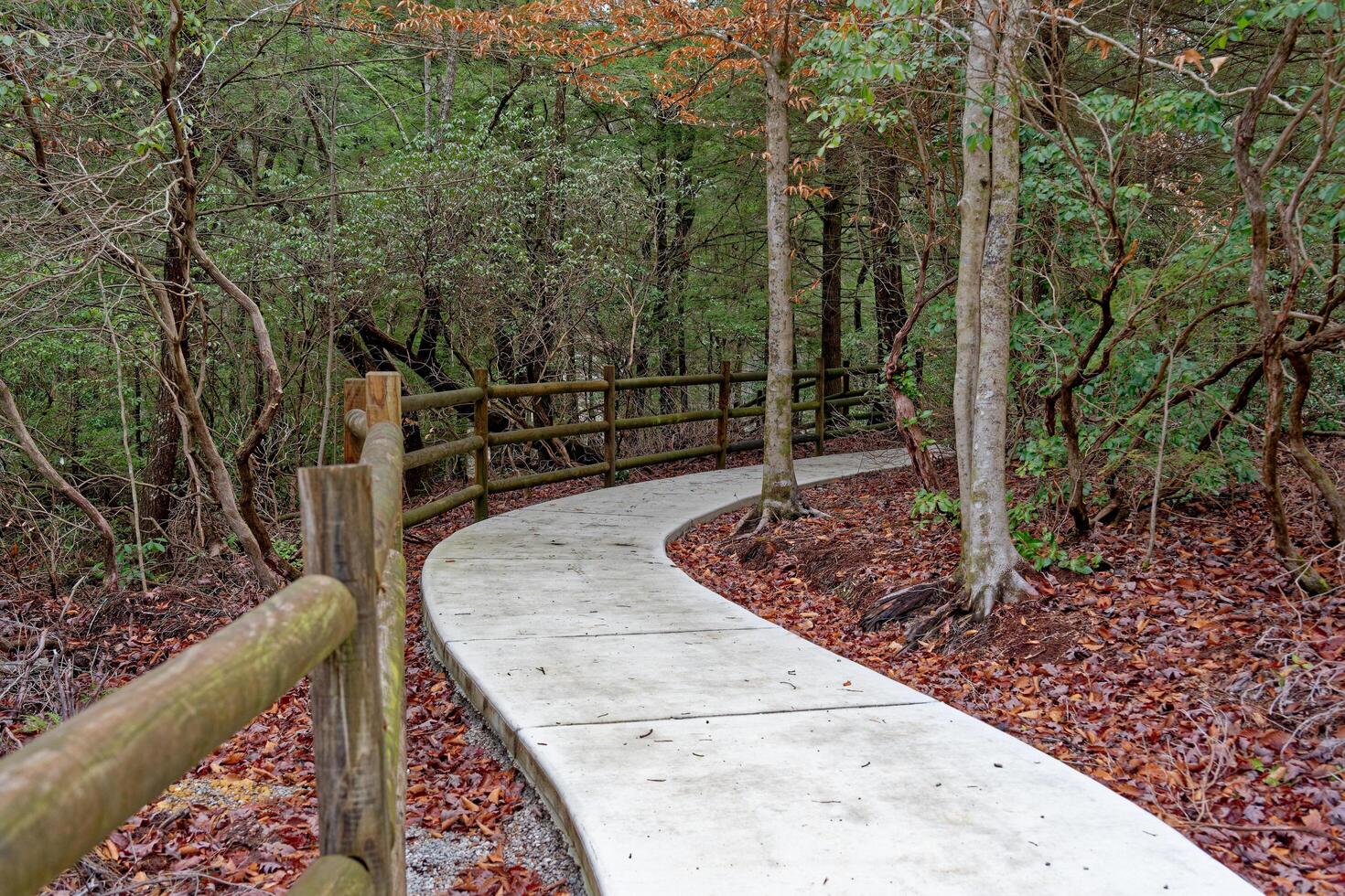 Brand new walking trail in the park photo