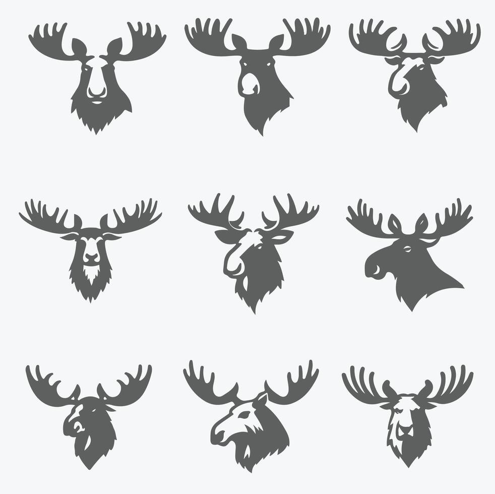Bold Moose collection logo vector