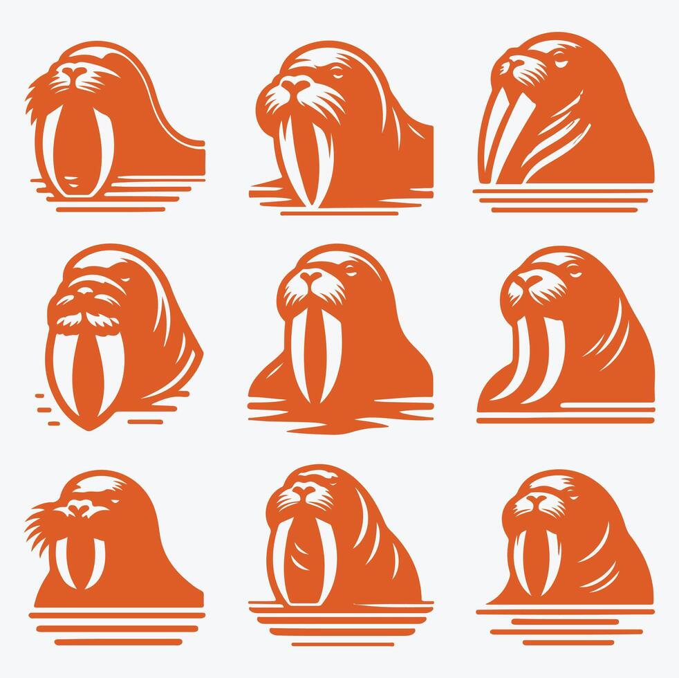 Walrus Haven collection logo vector