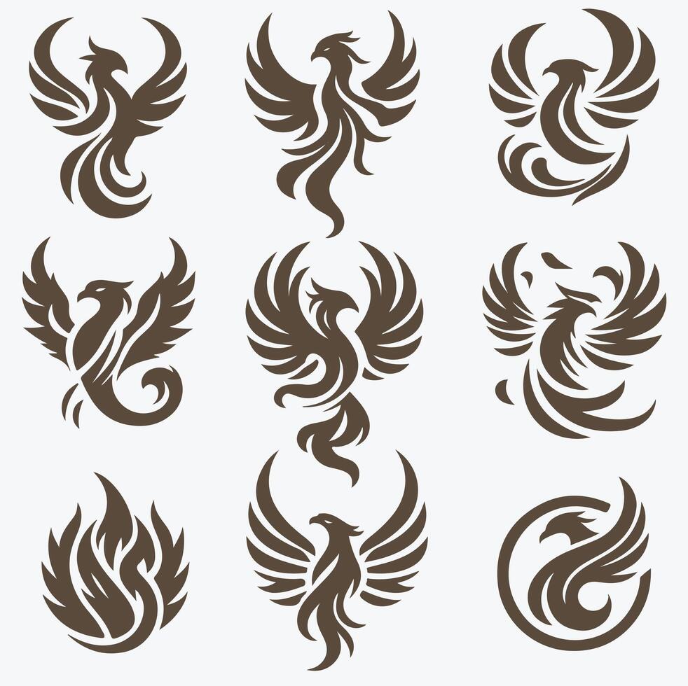 Ember Orchid collection logo vector