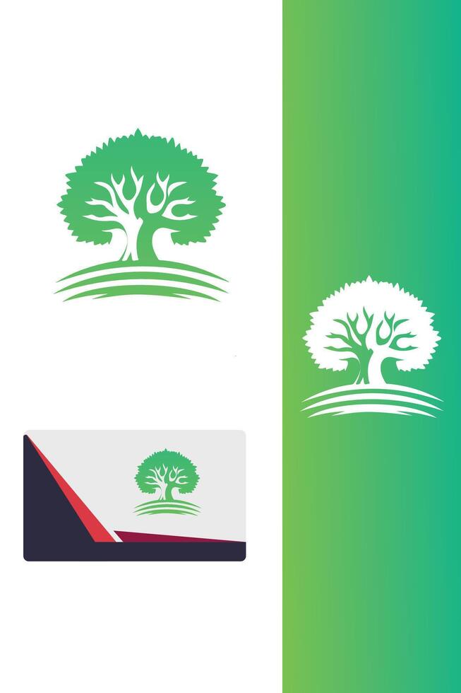 Birch Falls tree vector