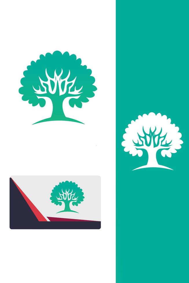 Olive Grove tree vector