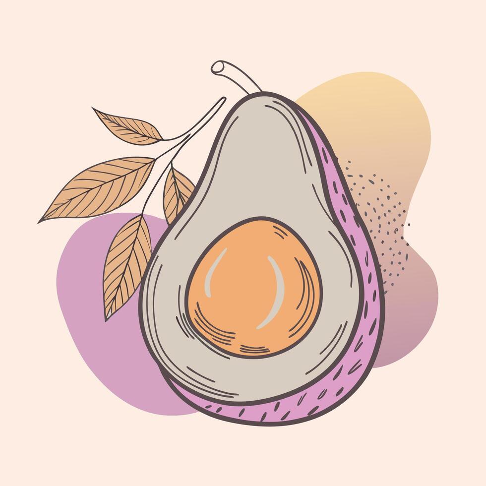 an avocado with leaves and a purple background vector