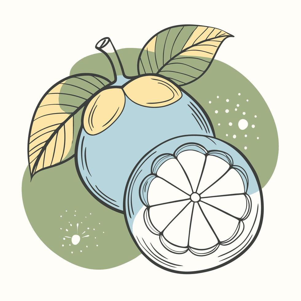 an illustration of a lemon with leaves vector