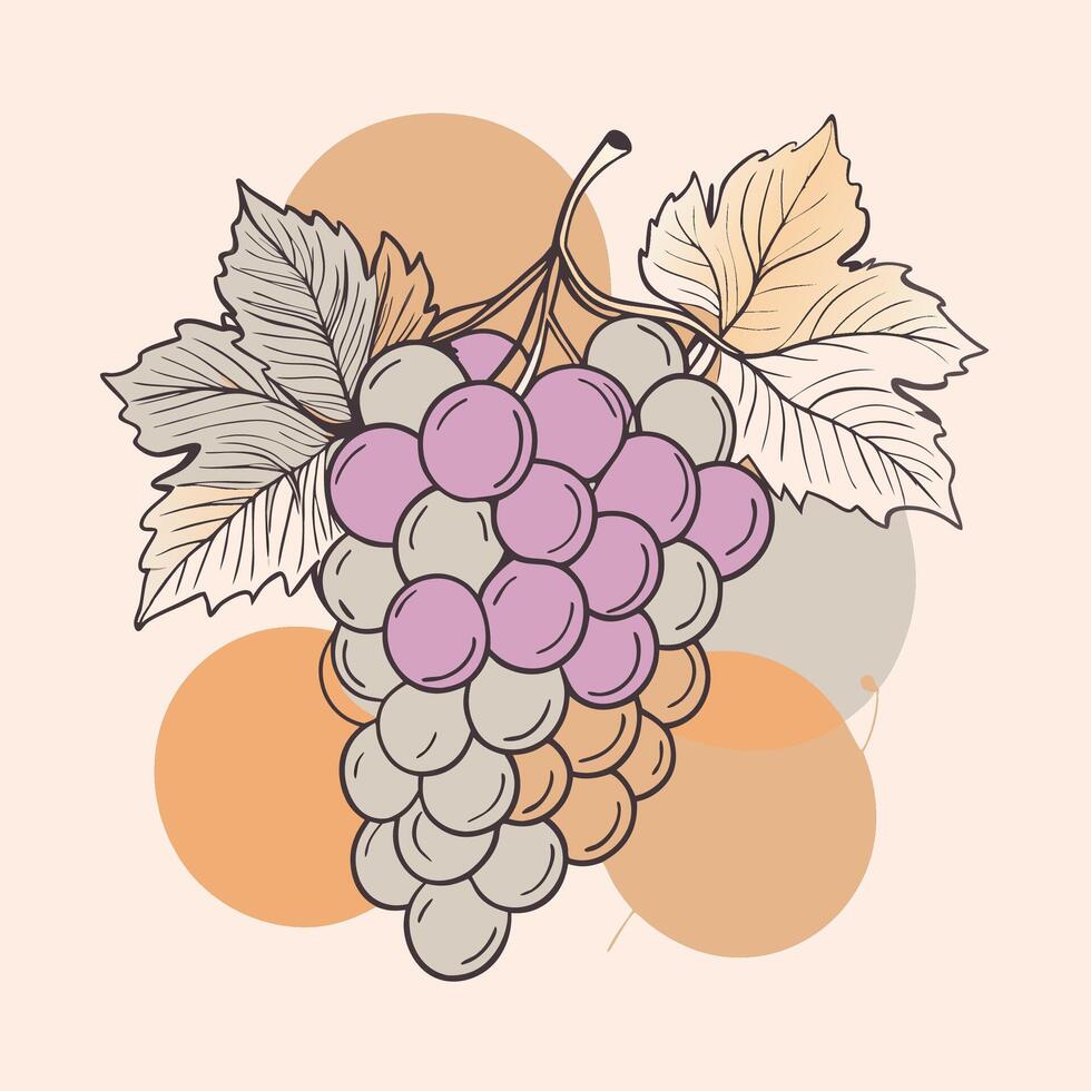 grapes on a branch with leaves and leaves vector