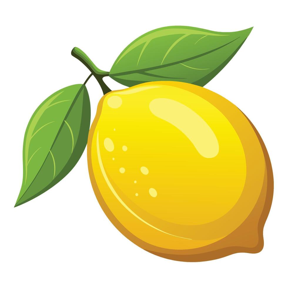 lemon white background illustration vector