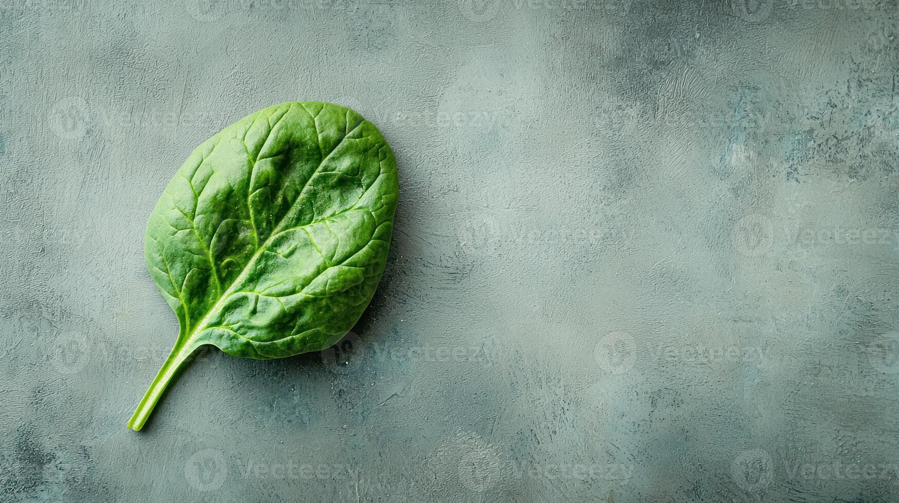 single spinach leaf with visible veins and natural texture neutral surface, creating minimalistic aesthetic with ample copy photo