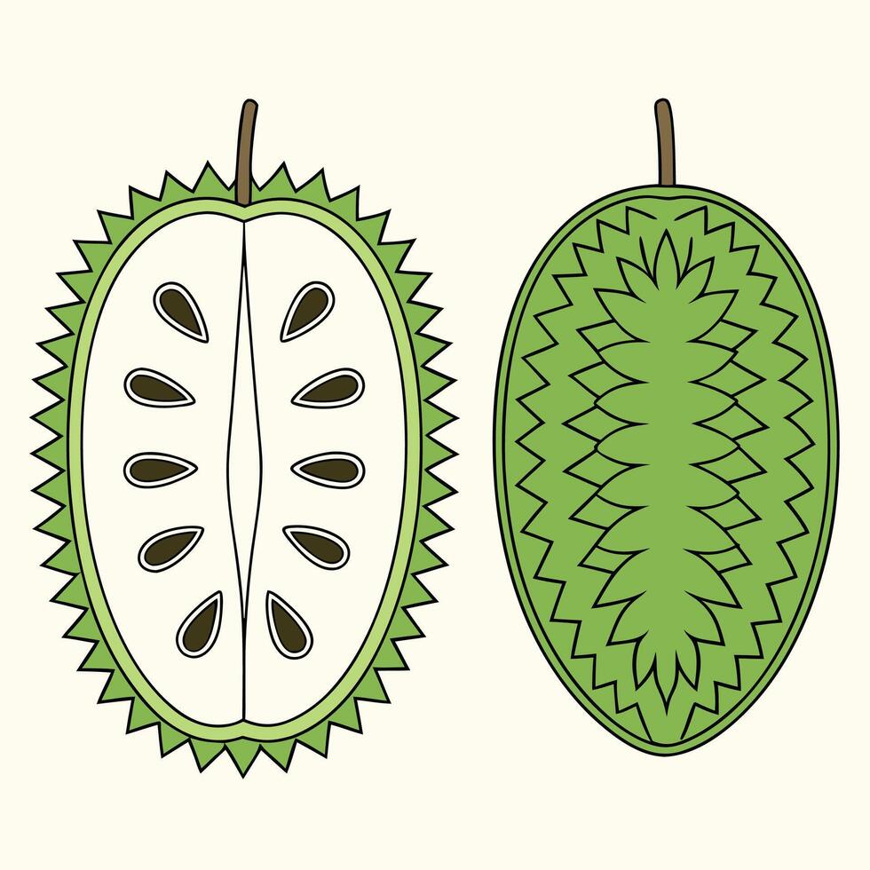 a durian fruit is shown with a green skin and a green seed vector