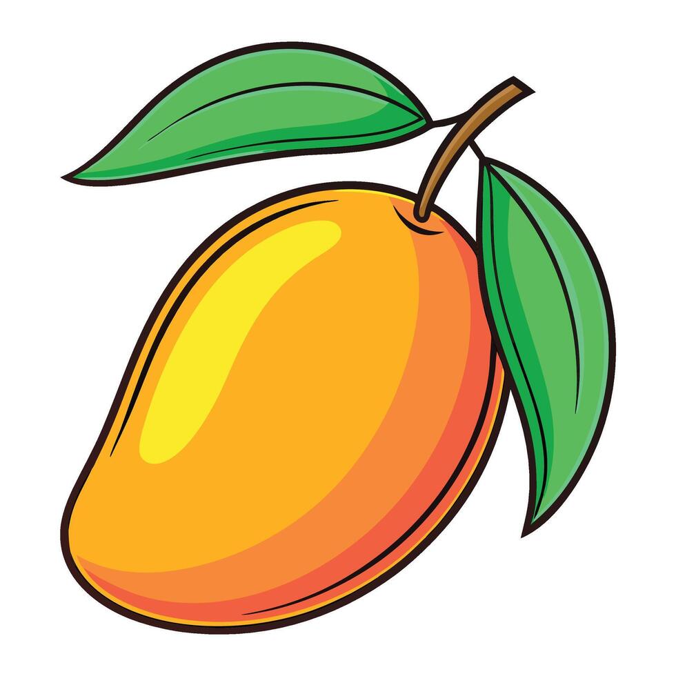 mango fruit illustration white background vector