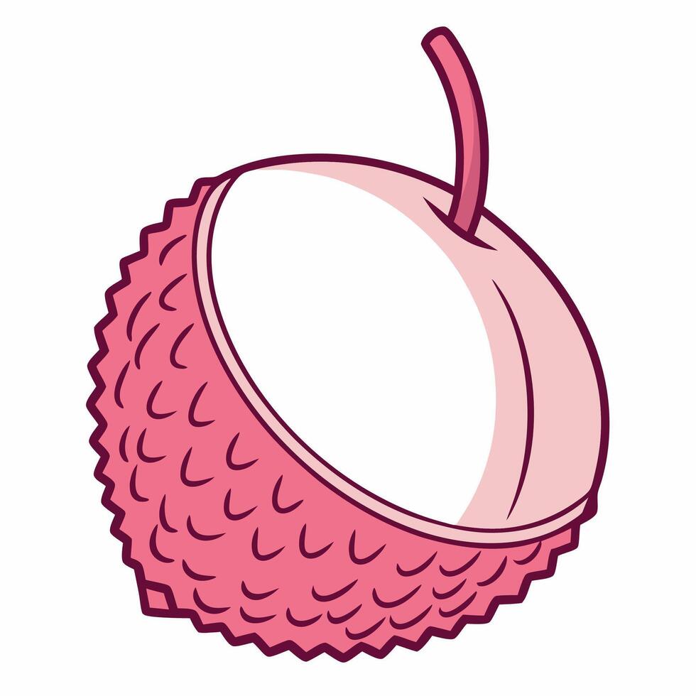 a pink rambutan fruit on a white background vector
