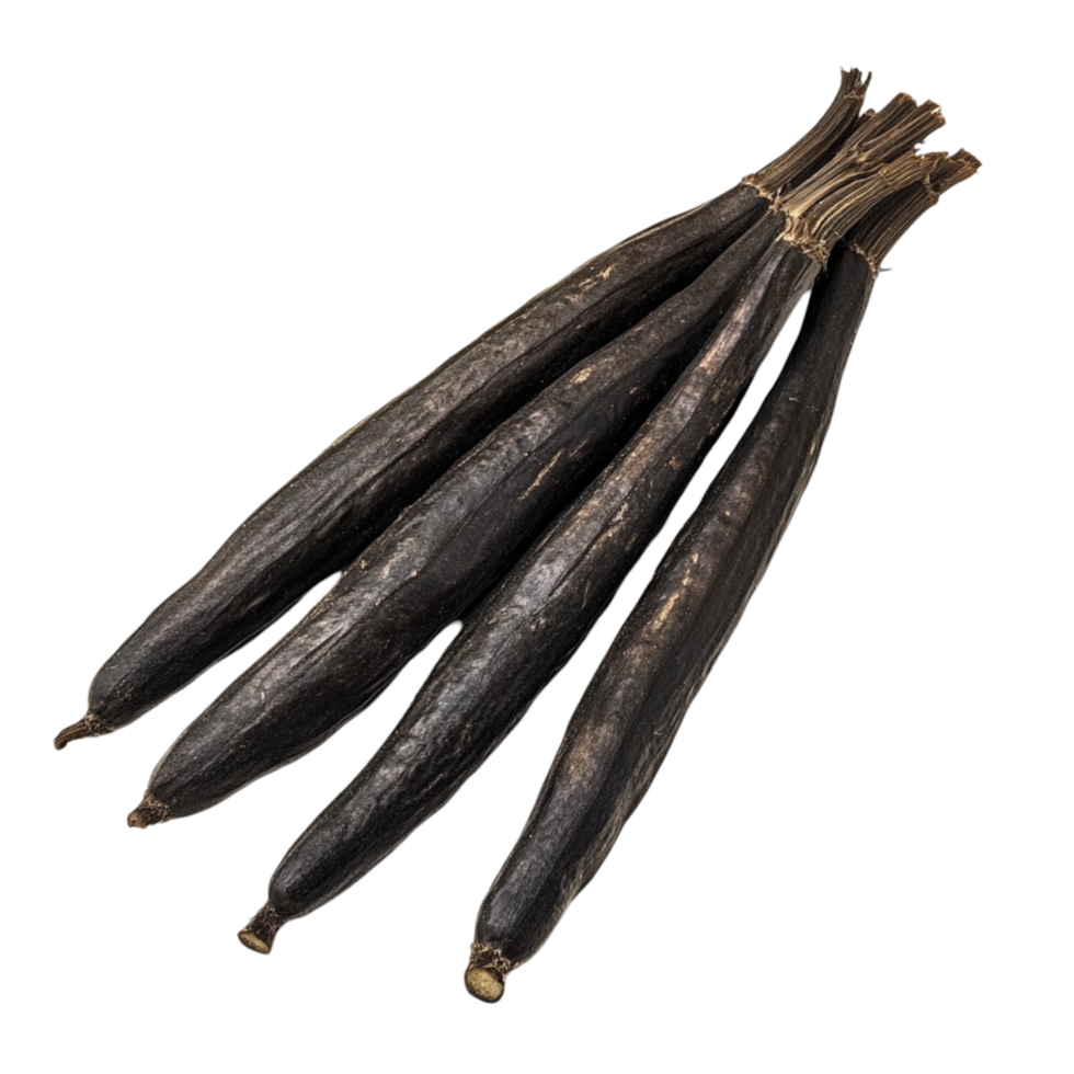Multiple Black Floggers with Sharp Ends png