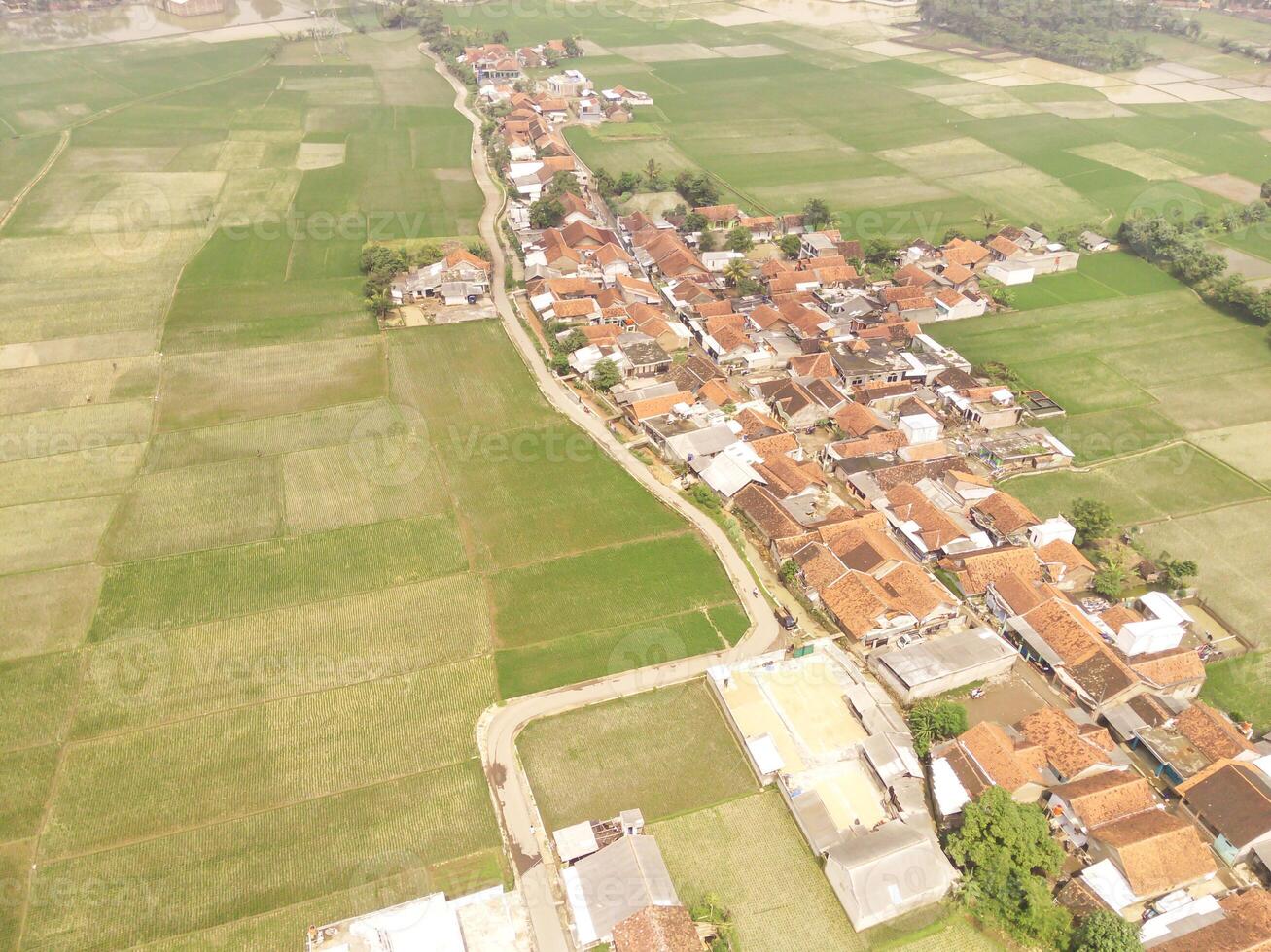 Aerial Landscape view of a remote village surrounded by rice field patches. High angle view of Residential District and agricultural fields. Panorama rural and suburban. photo