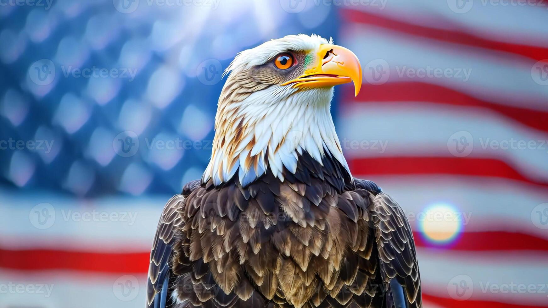 A bald eagle in front of American flag photo