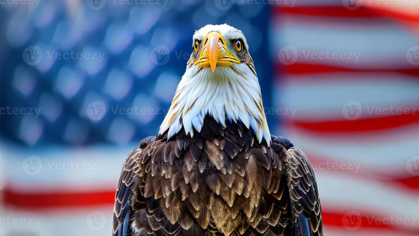 Bald eagle stands in front of an American flag. photo
