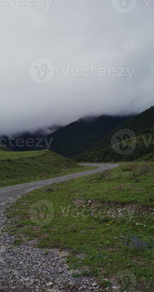 A gravel road in the middle of a field photo