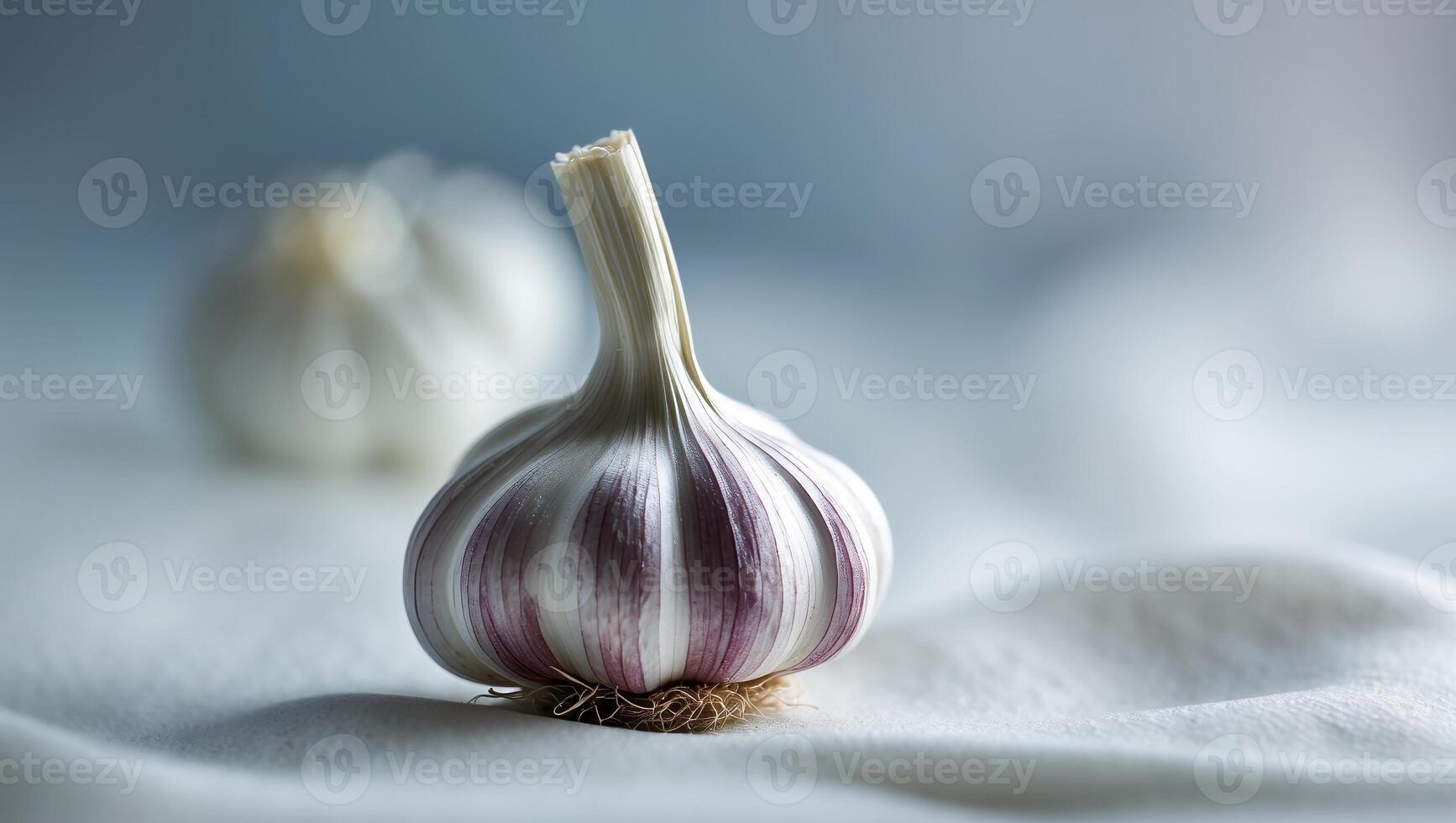 Garlic bulb on a white cloth with soft lighting showcasing its texture and colors photo