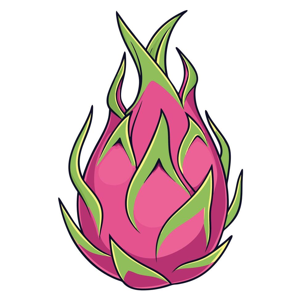 cartoon dragon fruit with green leaves vector