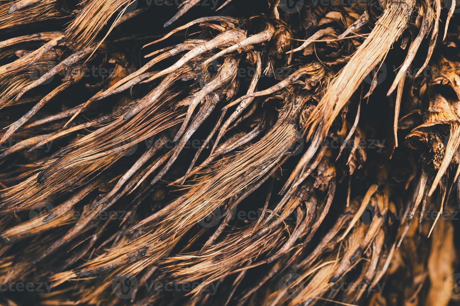 Intricate Texture Natural Roots and Twisted Fibers Close-Up photo