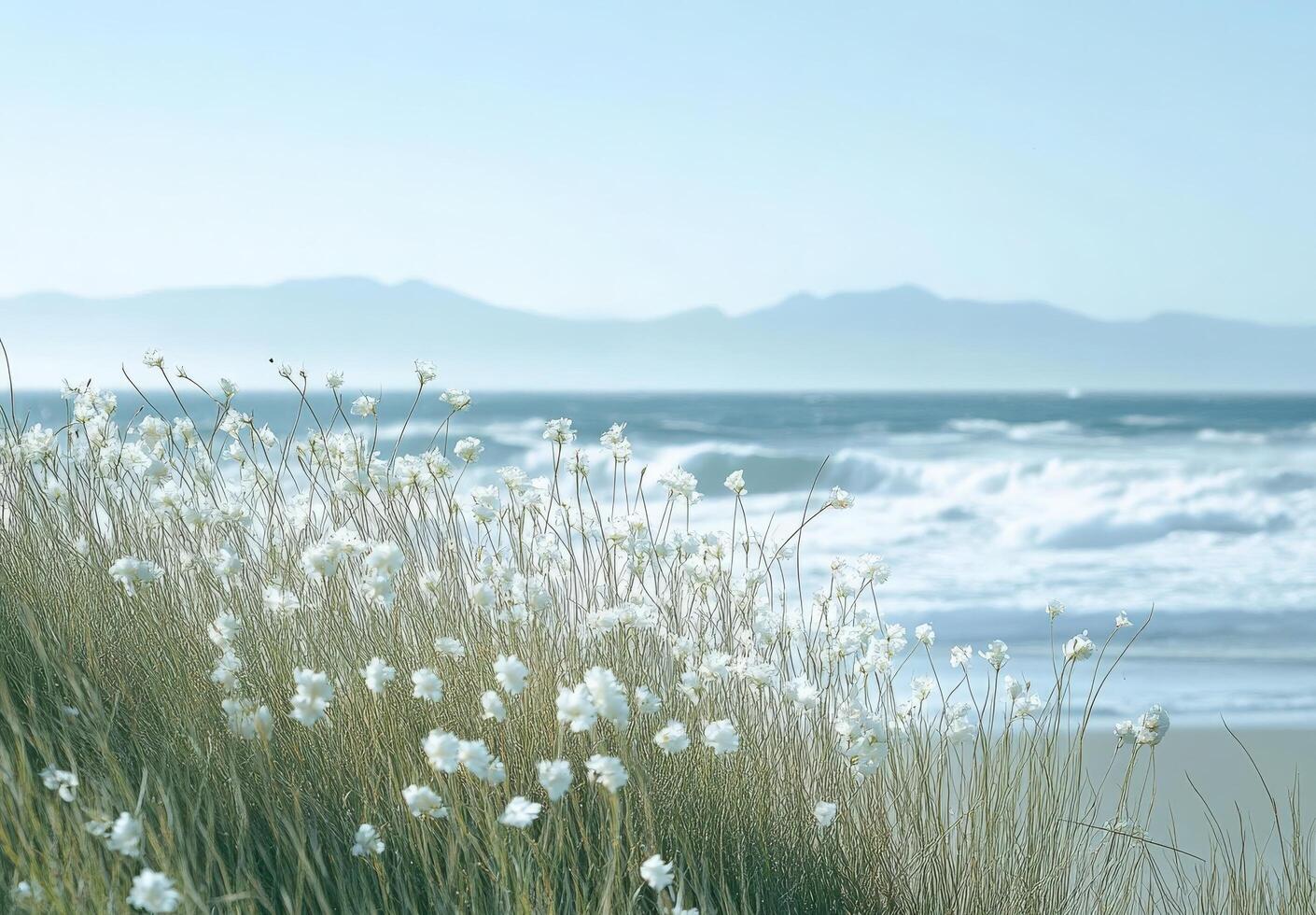 Coastal Flowers at Seashore with Distant Mountains photo