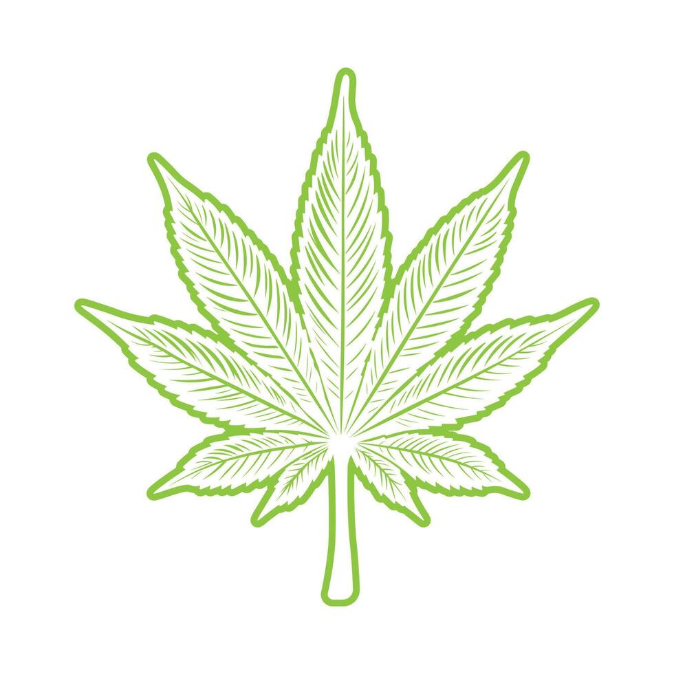 Thin Line Light Green Cannabis Leaf on White Background vector