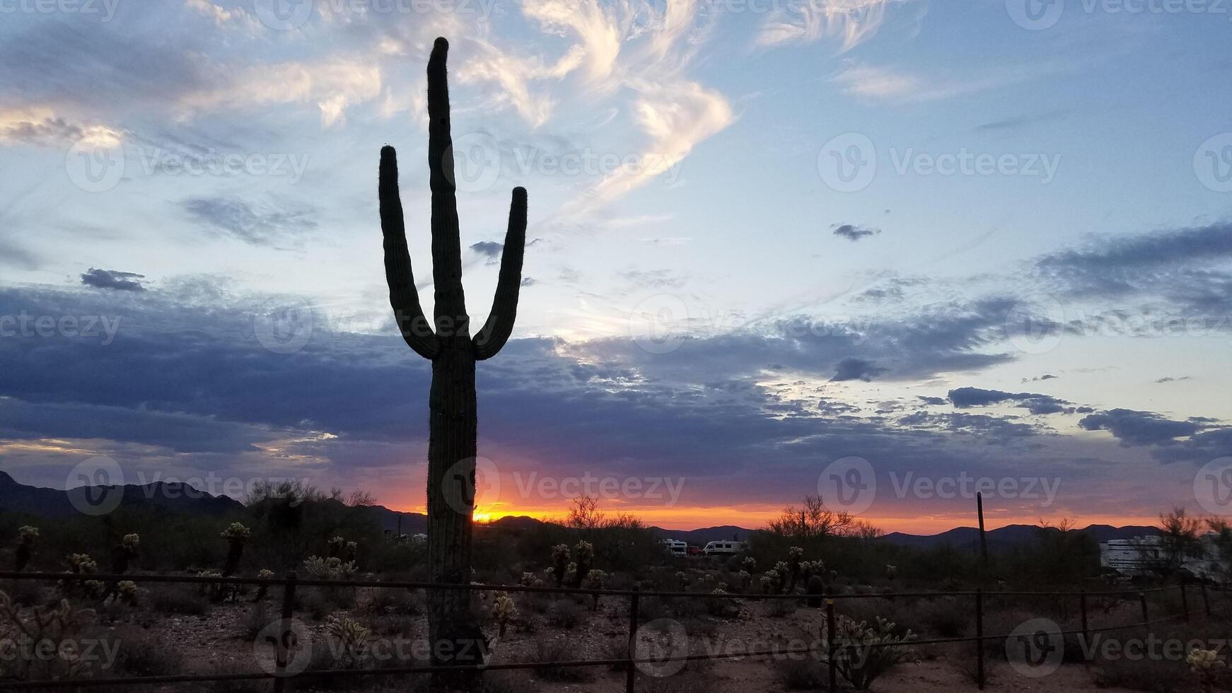 Saguaro Silhouette, Dramatic Arizona Desert Sunset, Landscape photo
