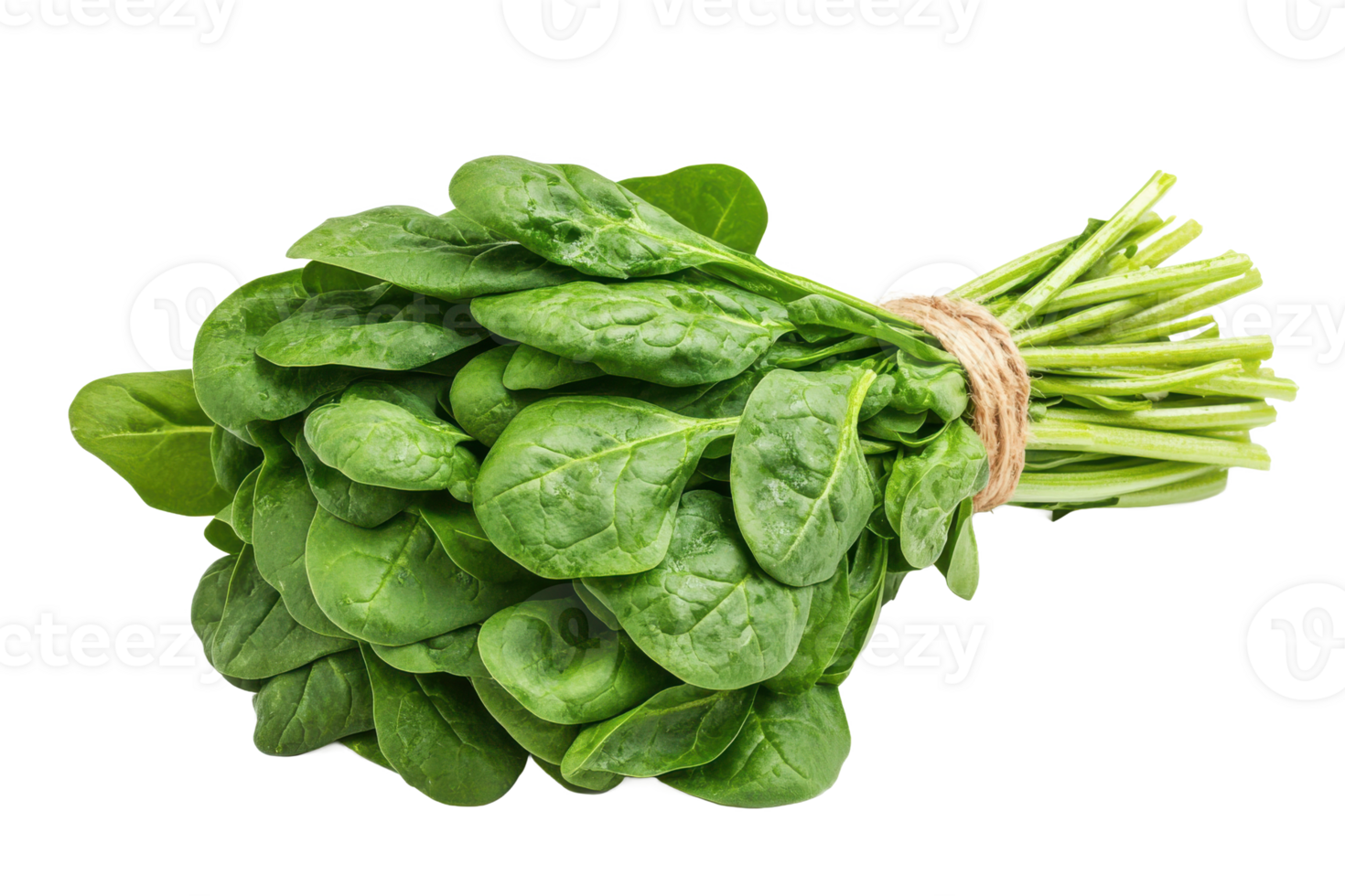 spinach and its appeal in healthy food photography. png
