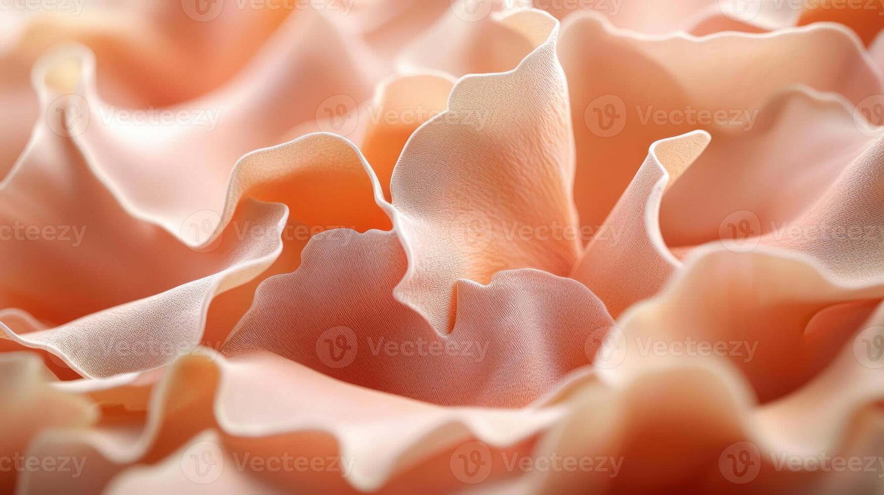 A close up of a flower photo