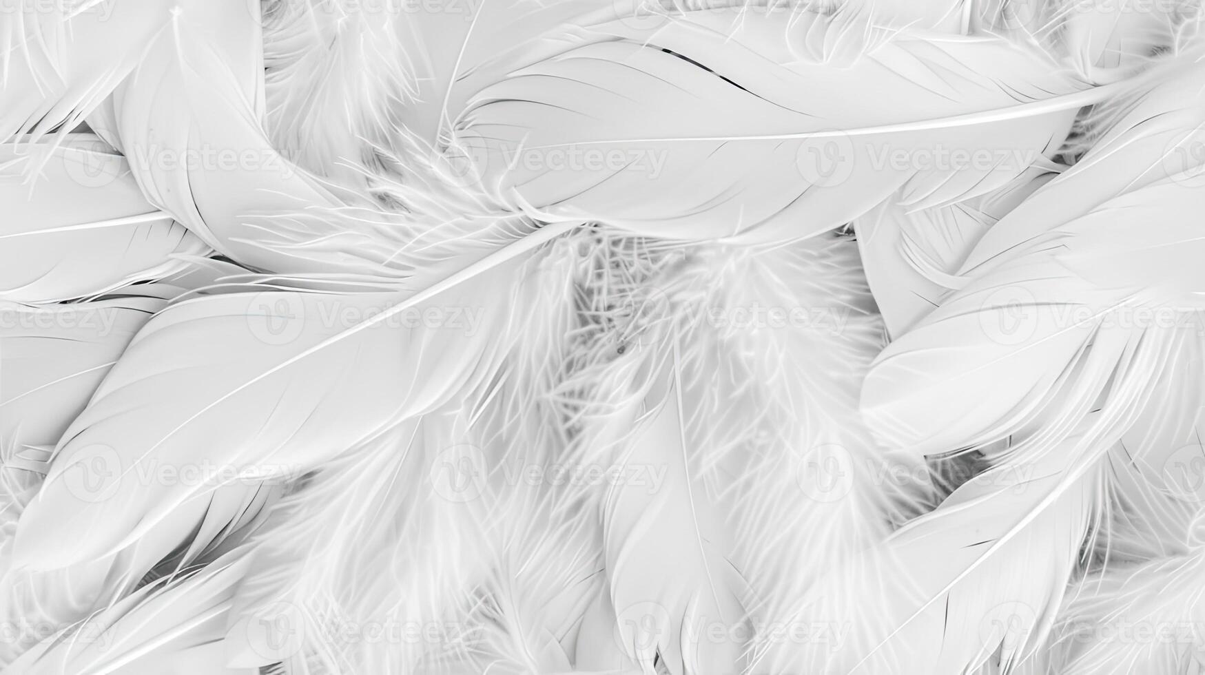 White feathers background, texture, texture background, texture background, texture background, texture background, texture photo