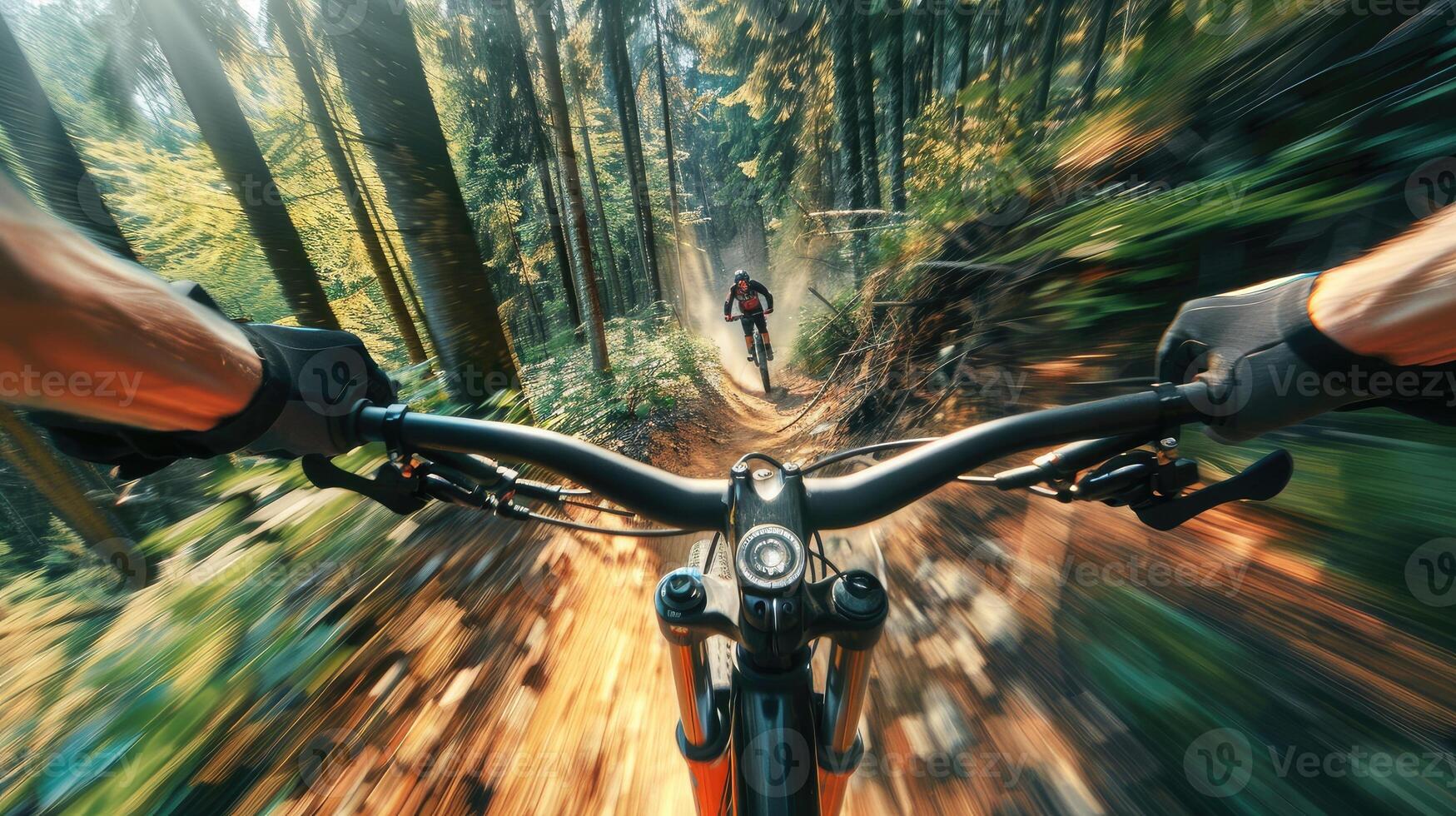Mountain biking in the forest photo