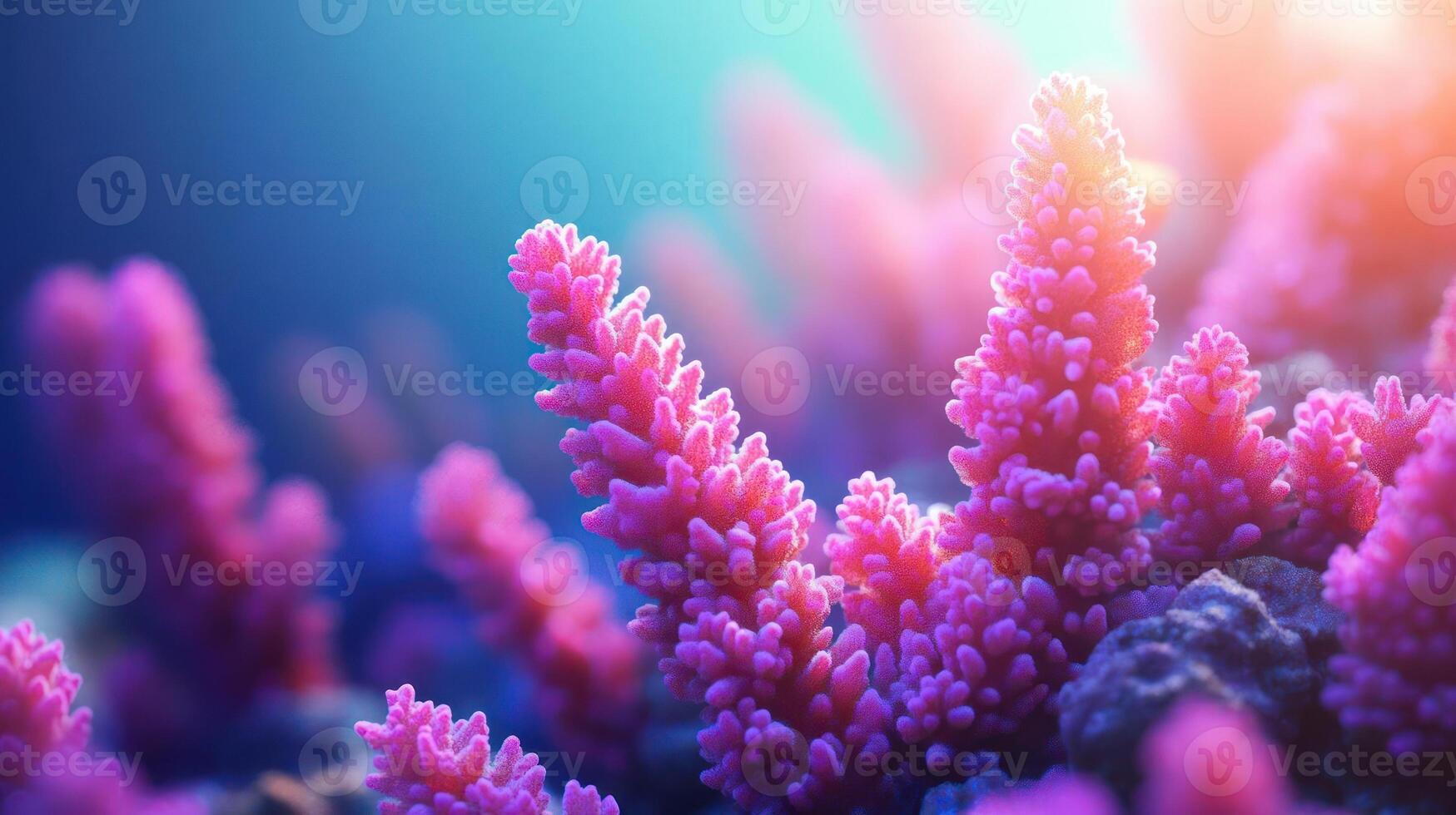 Bright pink coral reef photo