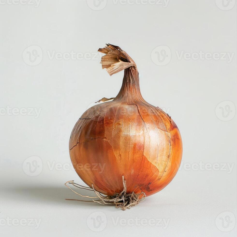 A whole brown onion with its roots and top removed photo