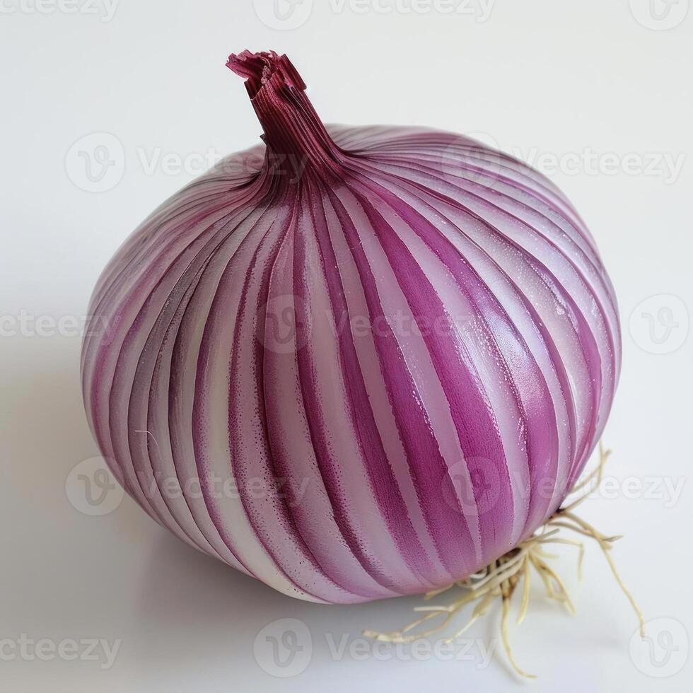 A purple onion with visible layers and roots photo
