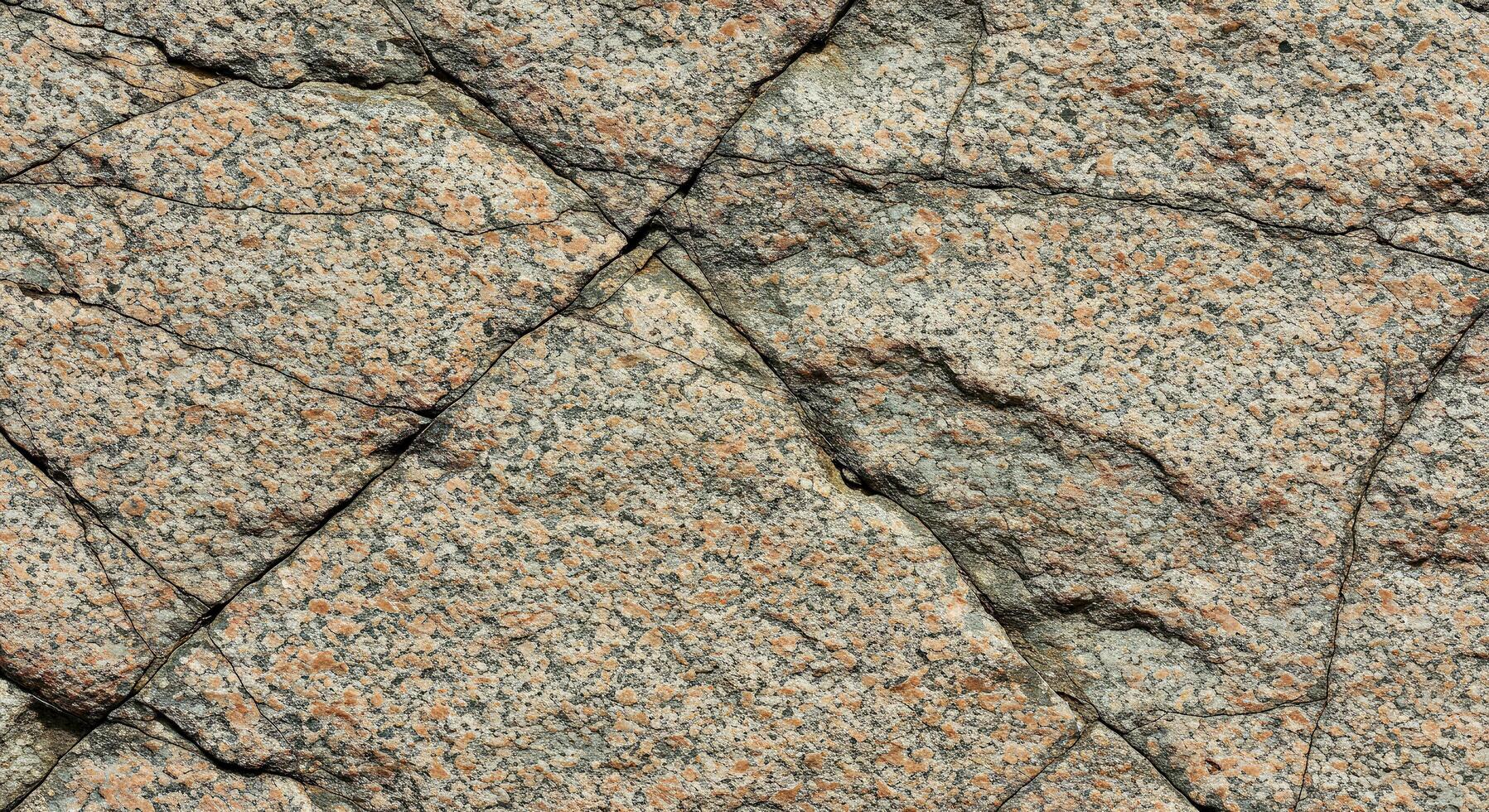 A close up of a rock with a pattern on it photo