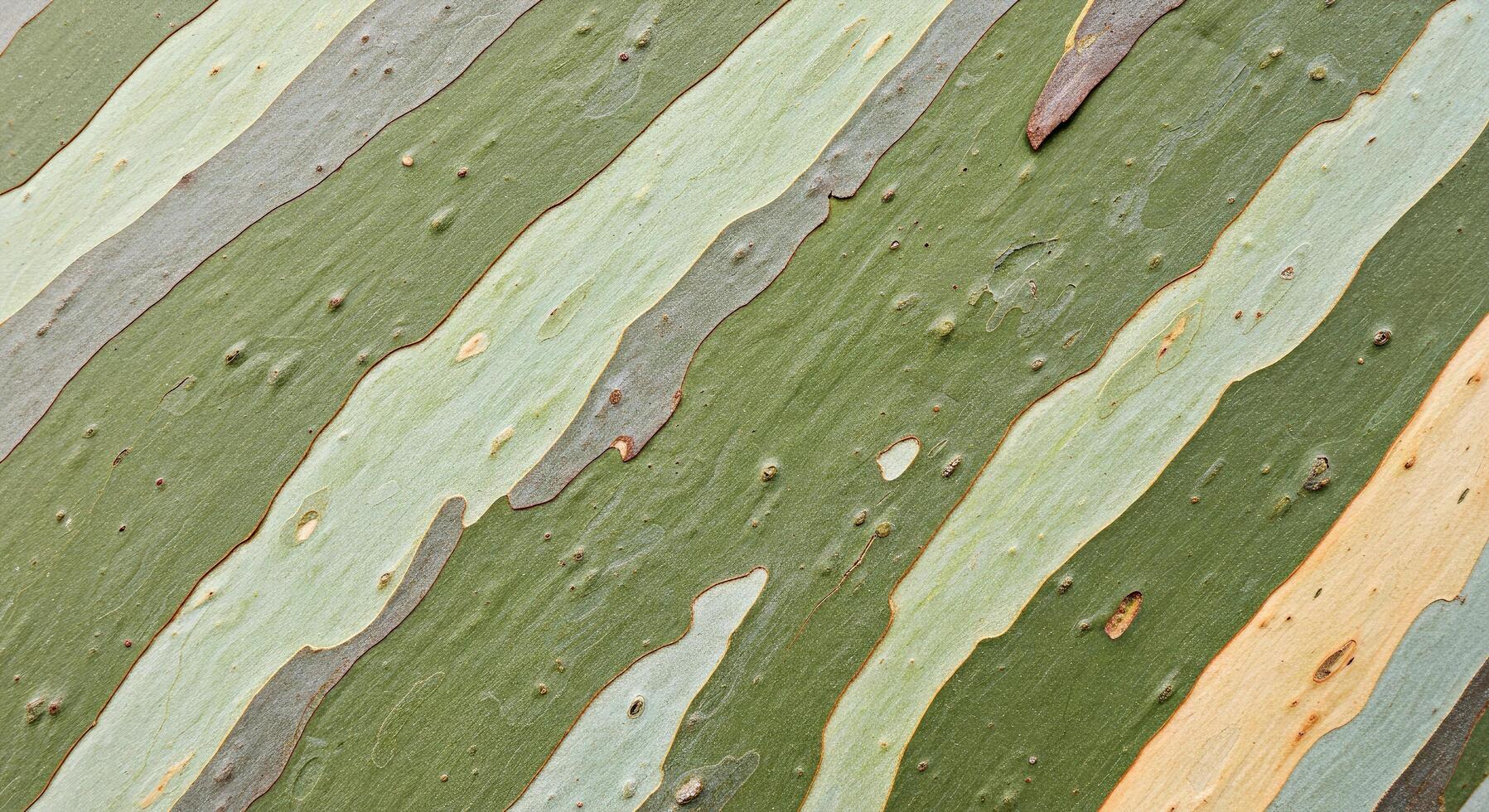 A close up of a tree with a bird on it photo