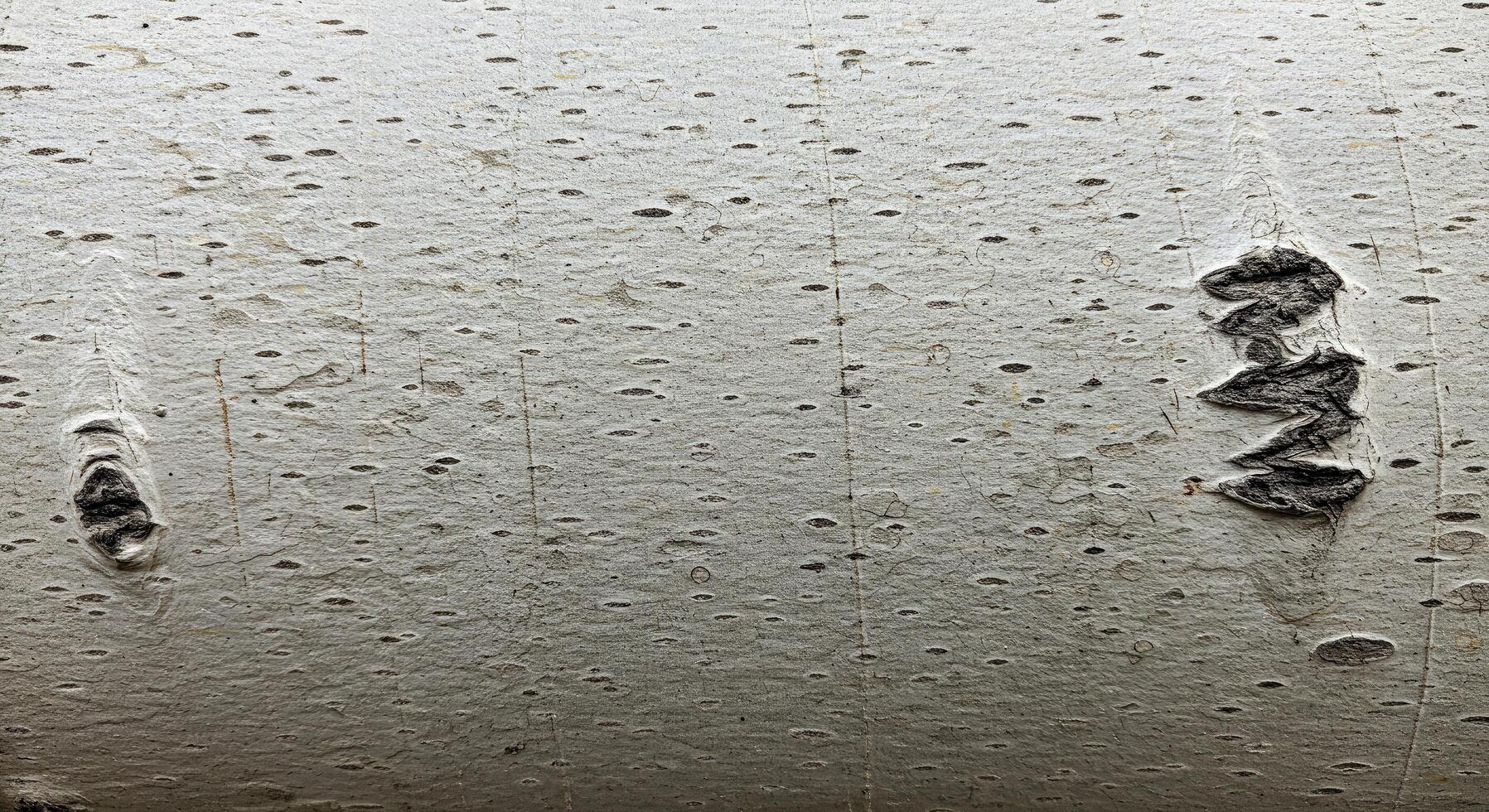 A white wall with holes photo