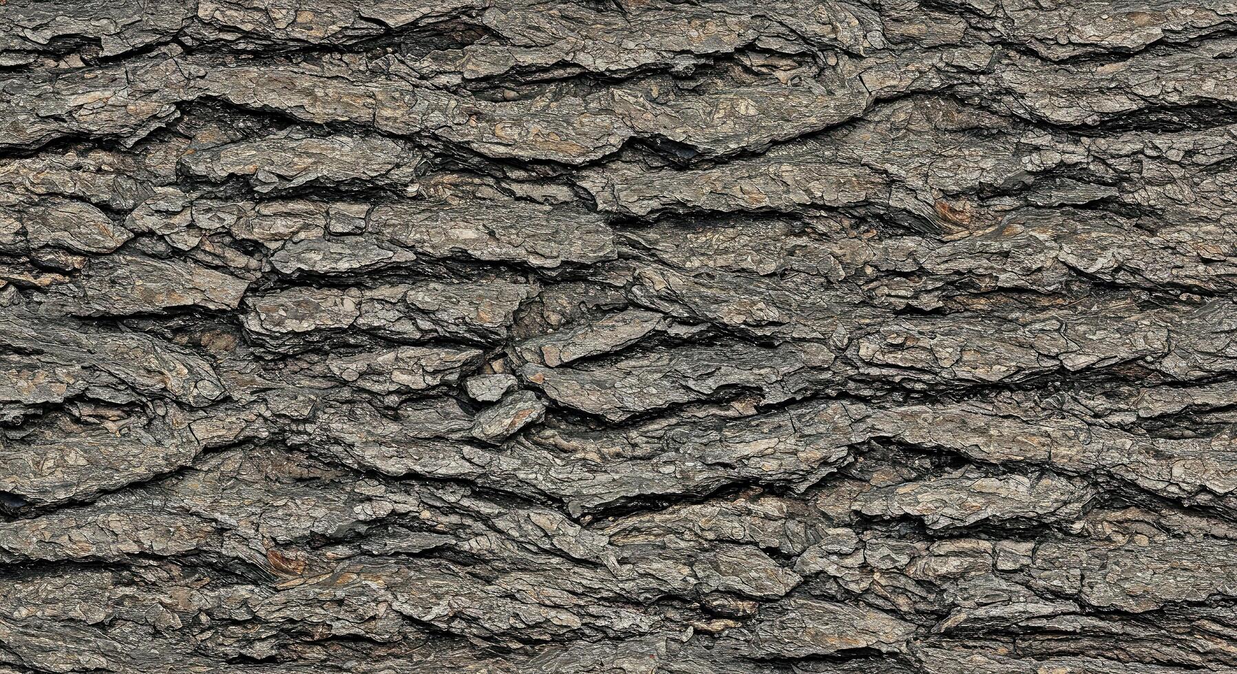 A close up of a tree bark texture photo