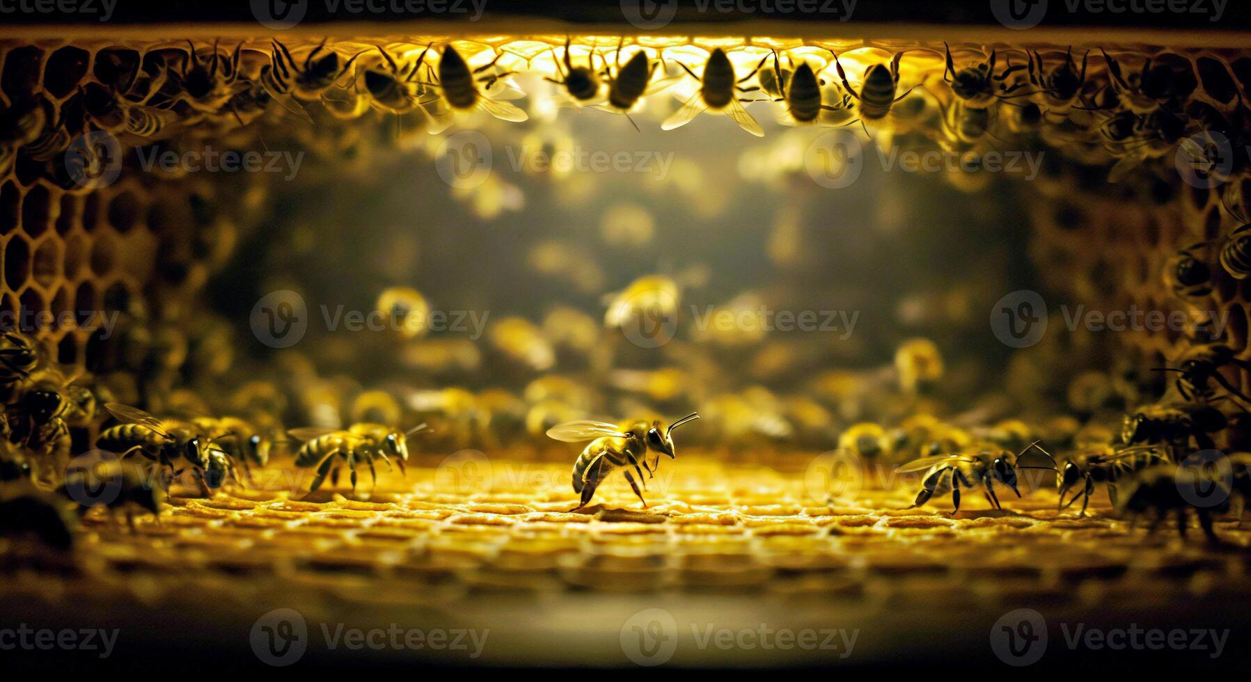 A Honey Bee Performs Its Iconic Waggle Dance on the Waxy Floor Communicating the Location of a Distant Flower Field photo