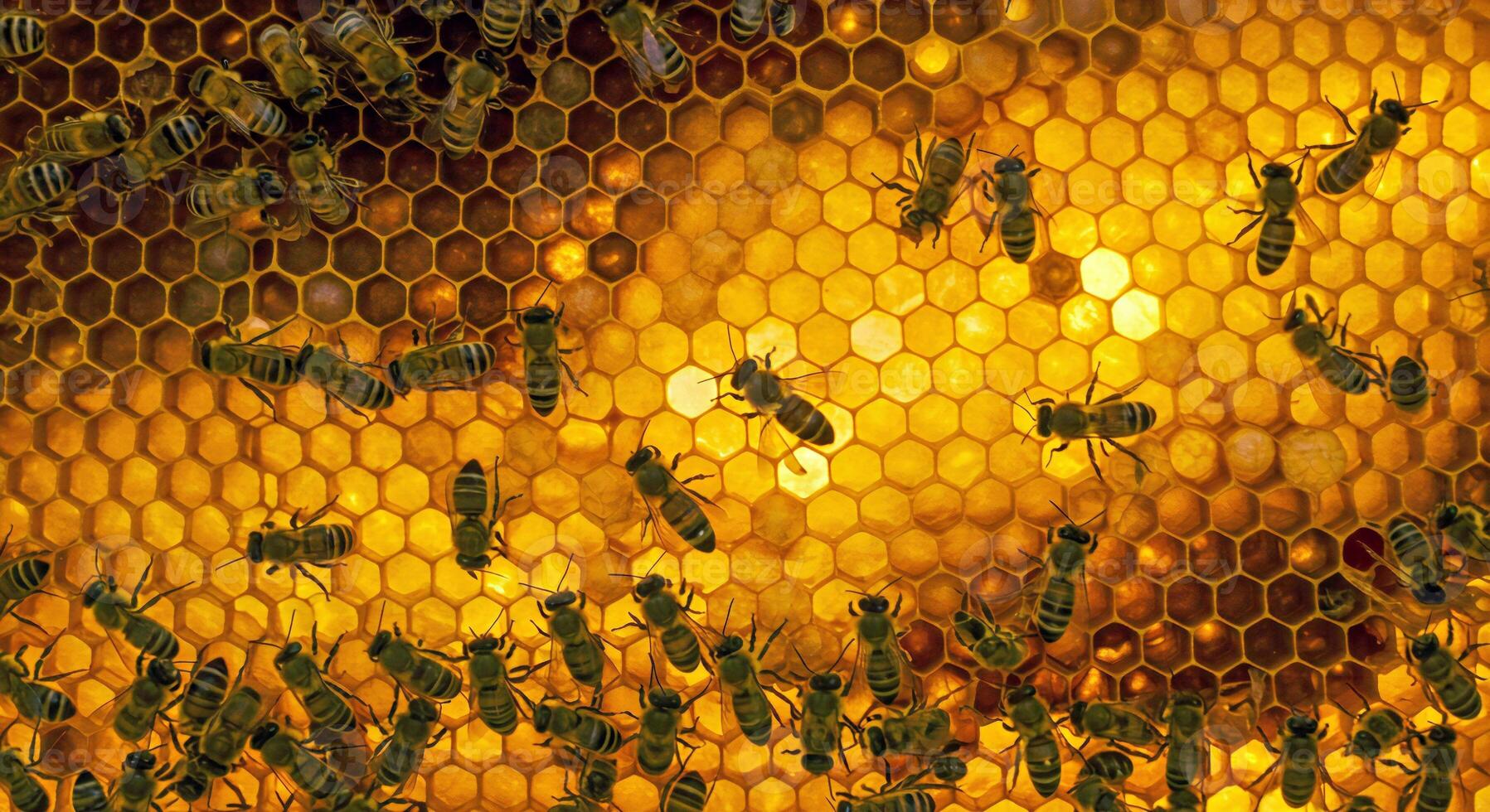 Bees on a honeycomb with yellow lights photo