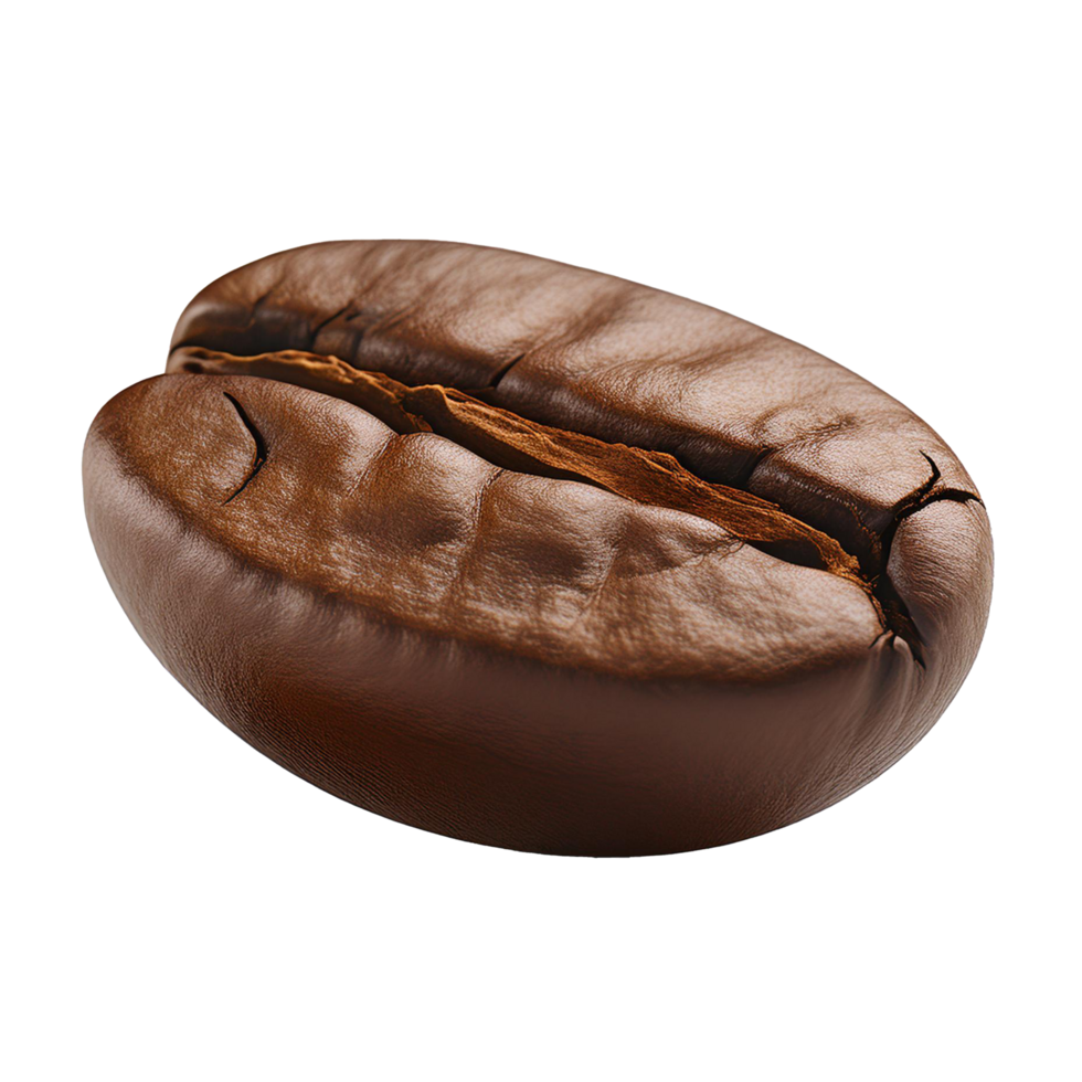 Realistic coffee bean on transparent background png