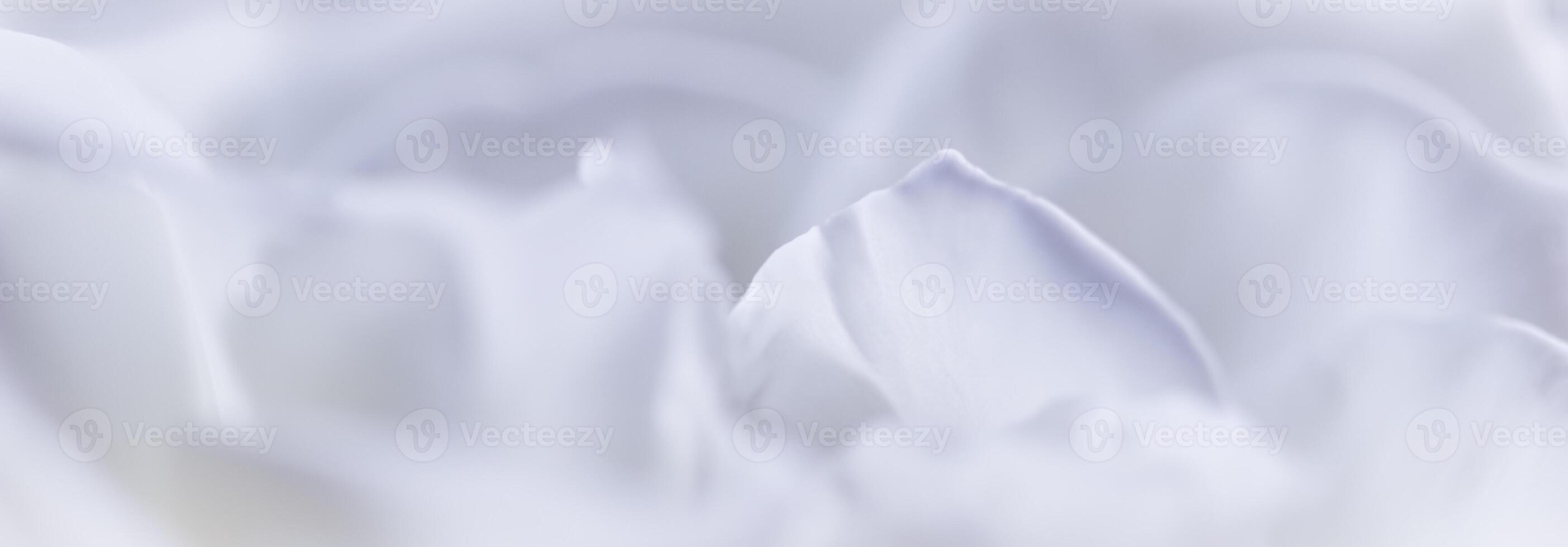 Abstract floral background, white rose flower petals. Macro flowers backdrop for holiday design. Soft focus photo