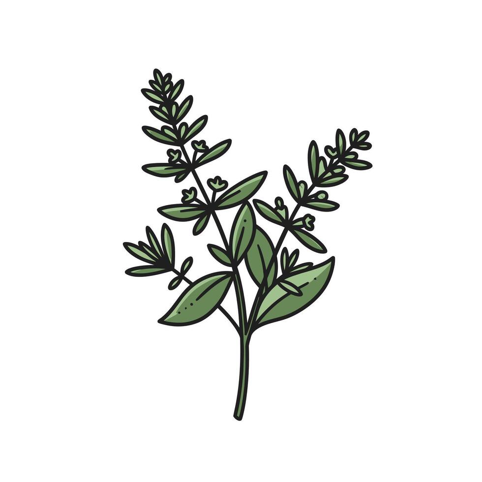 A plant with leaves and leaves on it vector