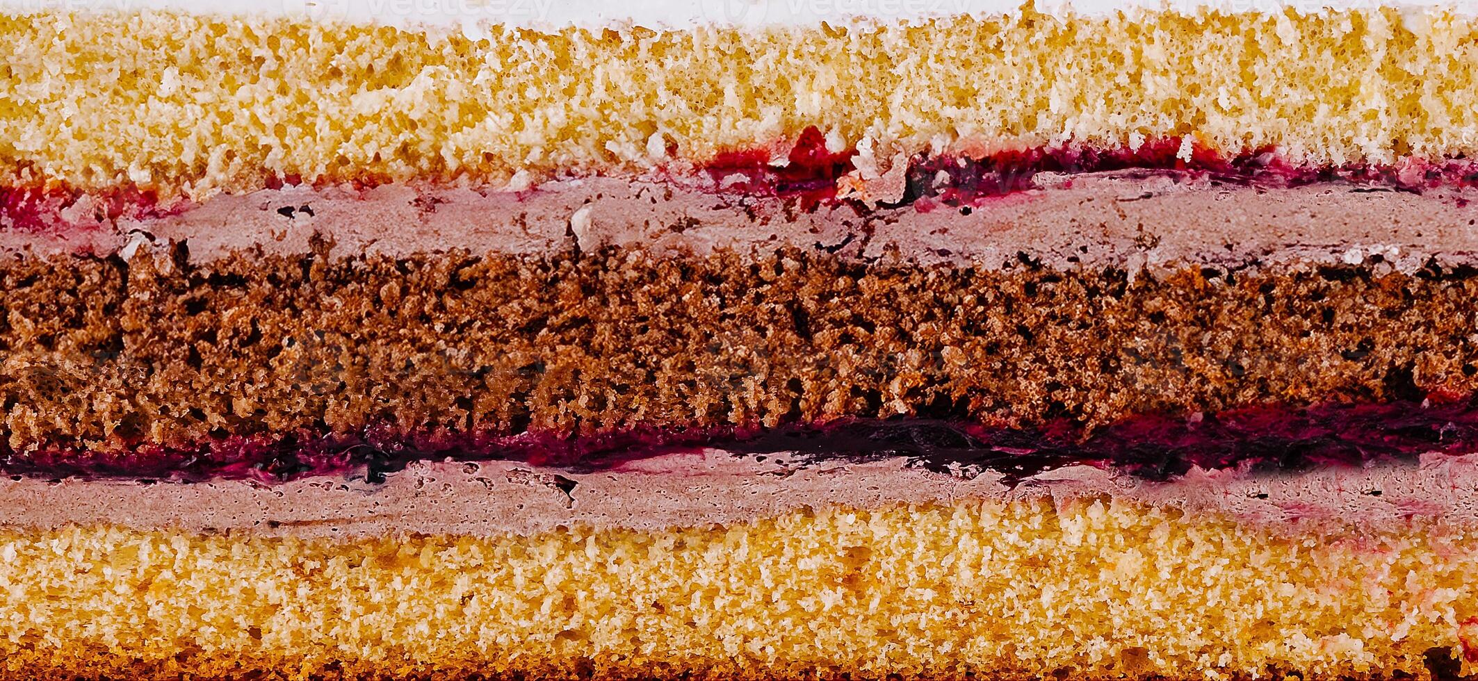 Delicious cake layers showing filling and frosting closeup photo