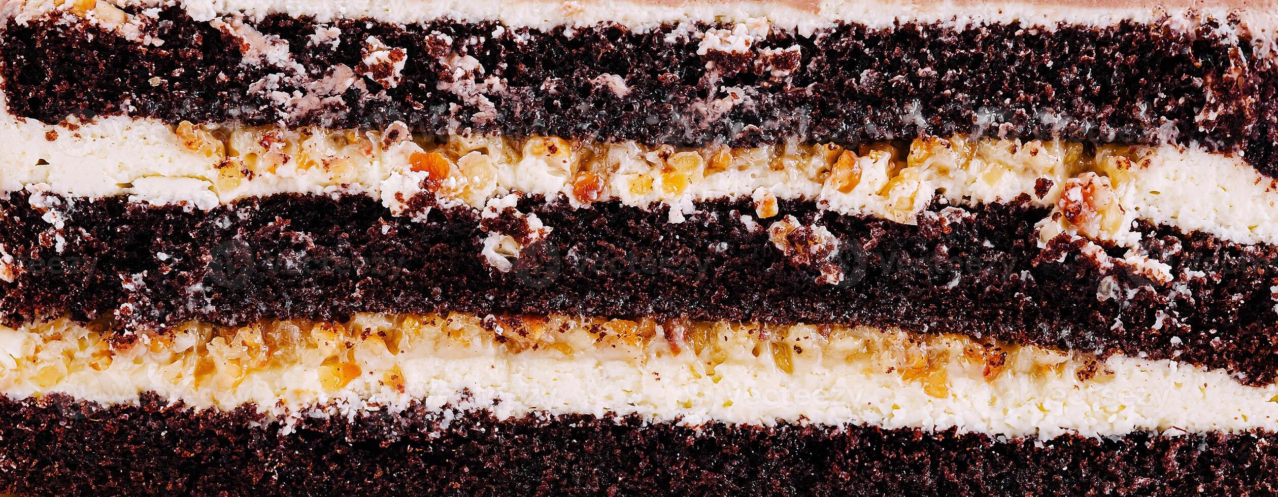 Delicious chocolate layer cake with creamy frosting and nuts photo
