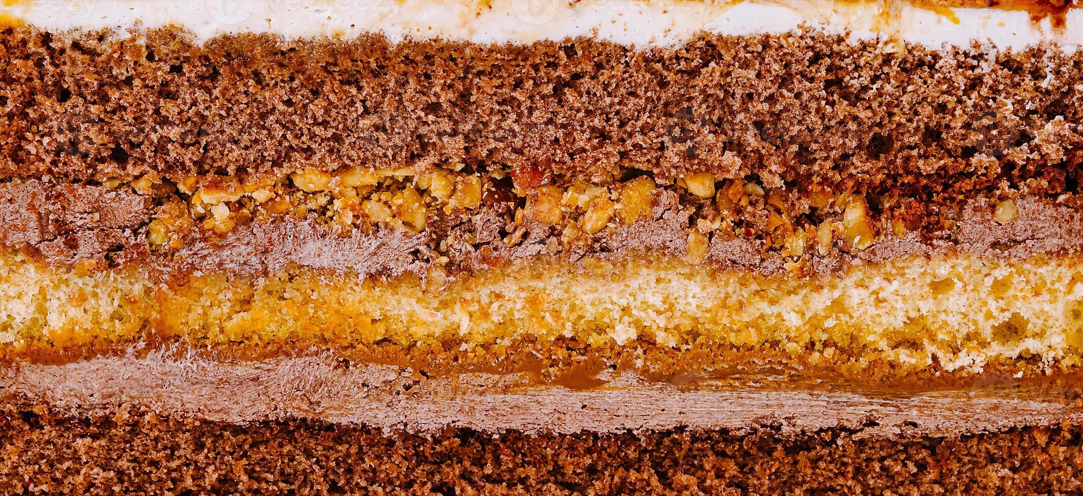 Delicious chocolate cake layers showing filling and nuts photo
