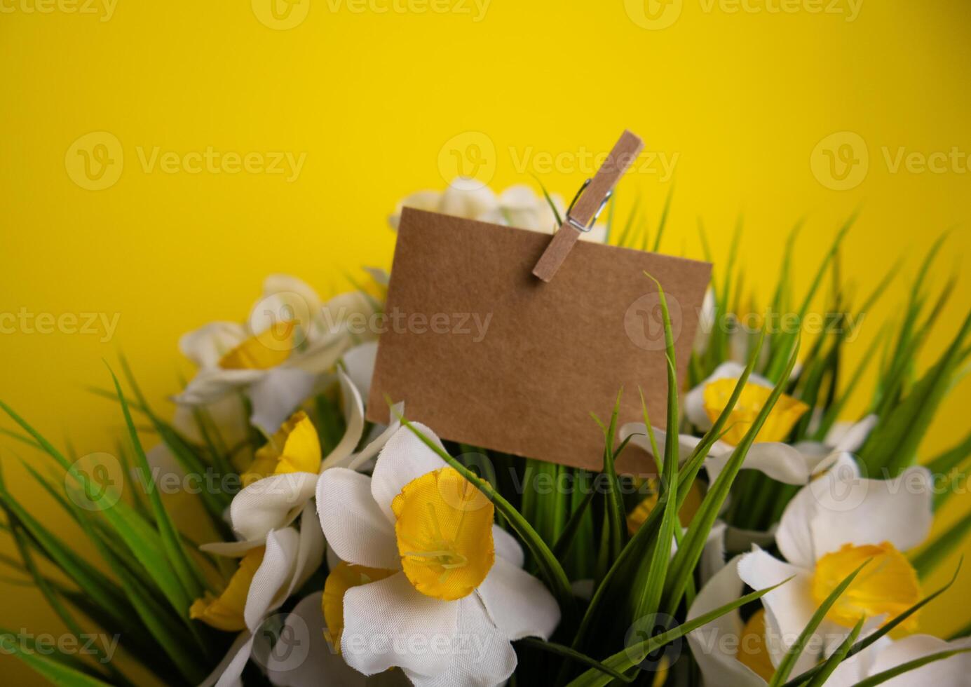 Card for inscription on daffodil flowers on a yellow background photo