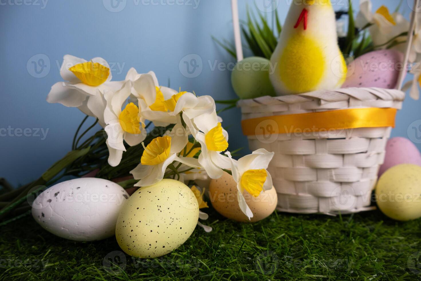 Colorful eggs and daffodil close up, chicken and eggs in a white basket on green grass Blue background photo