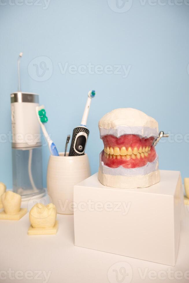 Anatomical model of human teeth and gums with teeth hygiene tools in background irrigator electric toothbrush decorative teeth Vertical photo
