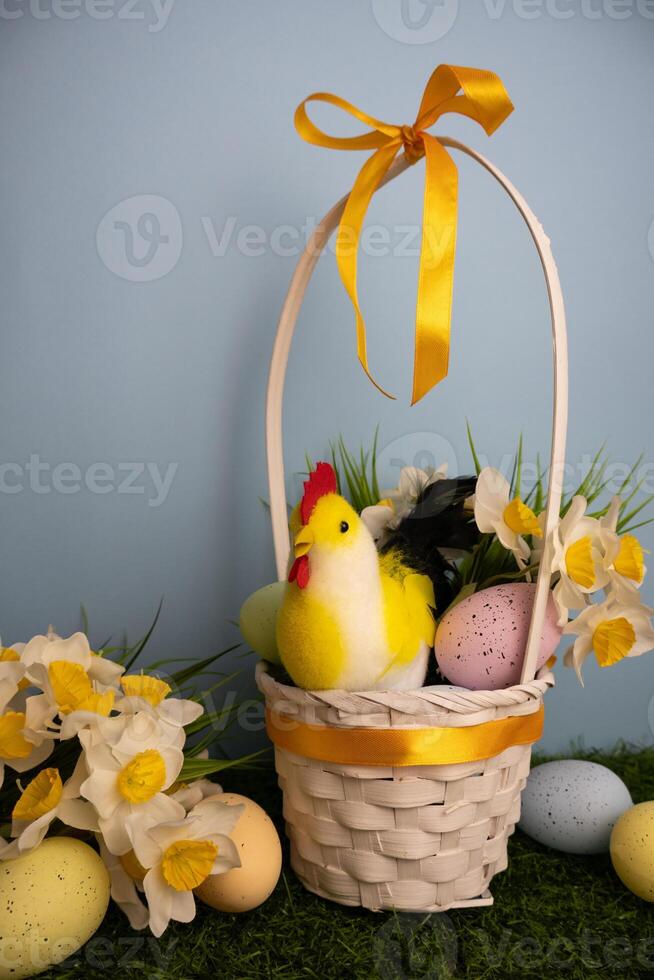Vertical scene of Easter basket with chicken pastel colorful eggs and daffodil flowers photo