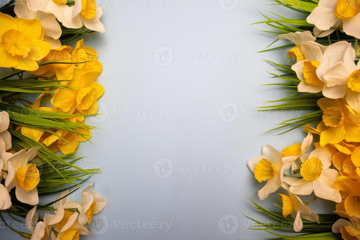 Spring yellow daffodil flowers and grass frame on a pastel blue background photo