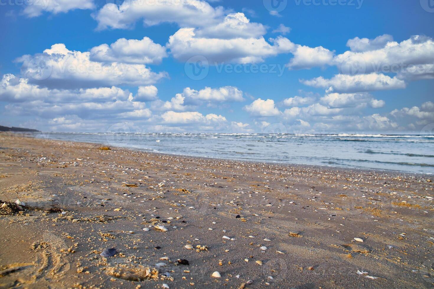 View over the beach on the island of Usedom with lots of shells. Baltic Sea photo